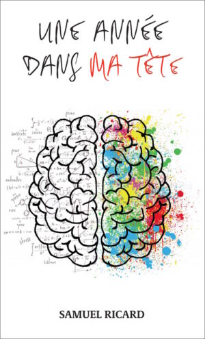 Une année dans ma tête
