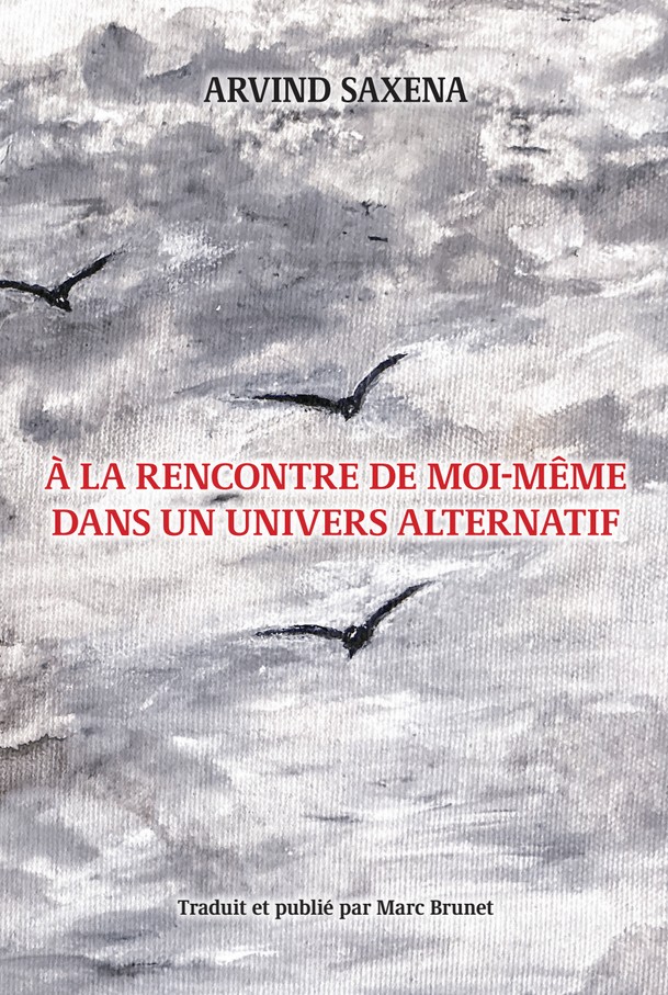 À la rencontre de moi-même dans un univers alternatif
